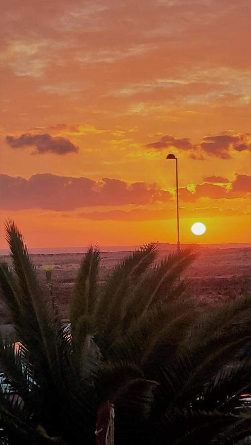 Casa Leon Fuerteventura Leilighet Corralejo Eksteriør bilde